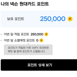 넥슨캐시 25만 포인트 팝니다.