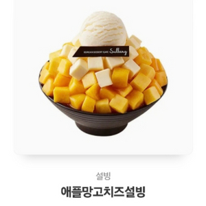 설빙 애플망고치즈설빙 필독