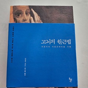 새책) 고뇌의 원근법