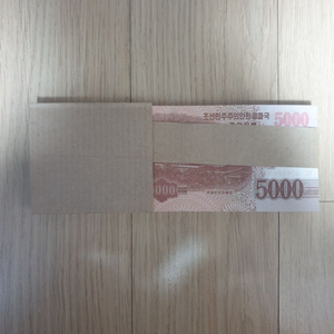 옛날돈 미사용 북한 다발 5000지폐