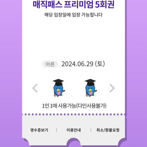 6월29일(토)롯데월드 매직패스 5회권 1장