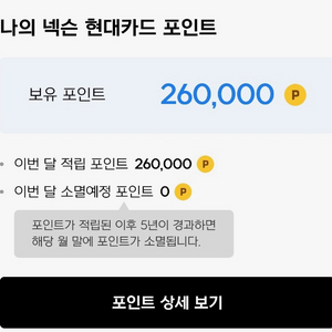 넥슨캐시 26만포인트 팝니다