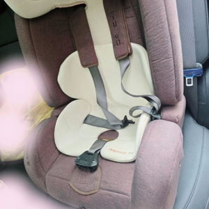 다이치디가드 Isofix 토들러 오가닉카시트 일괄판매