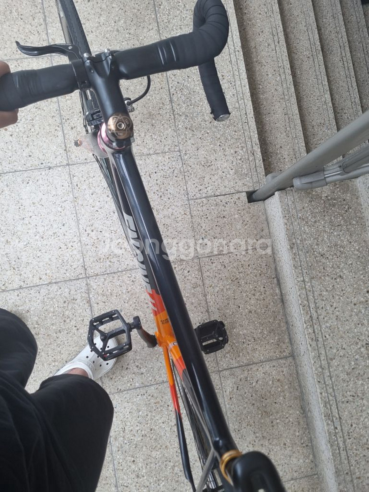 엔진11 크릿디 블라스트 오렌지 판매/대차--3