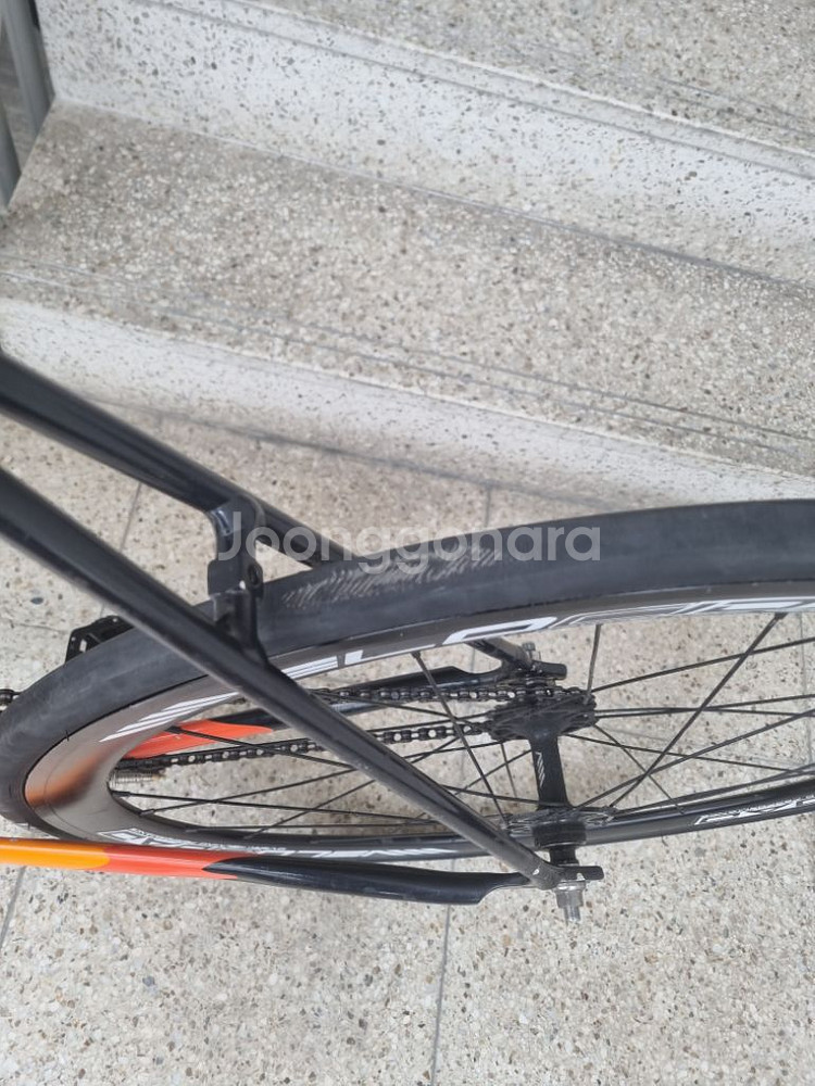 엔진11 크릿디 블라스트 오렌지 판매/대차--5