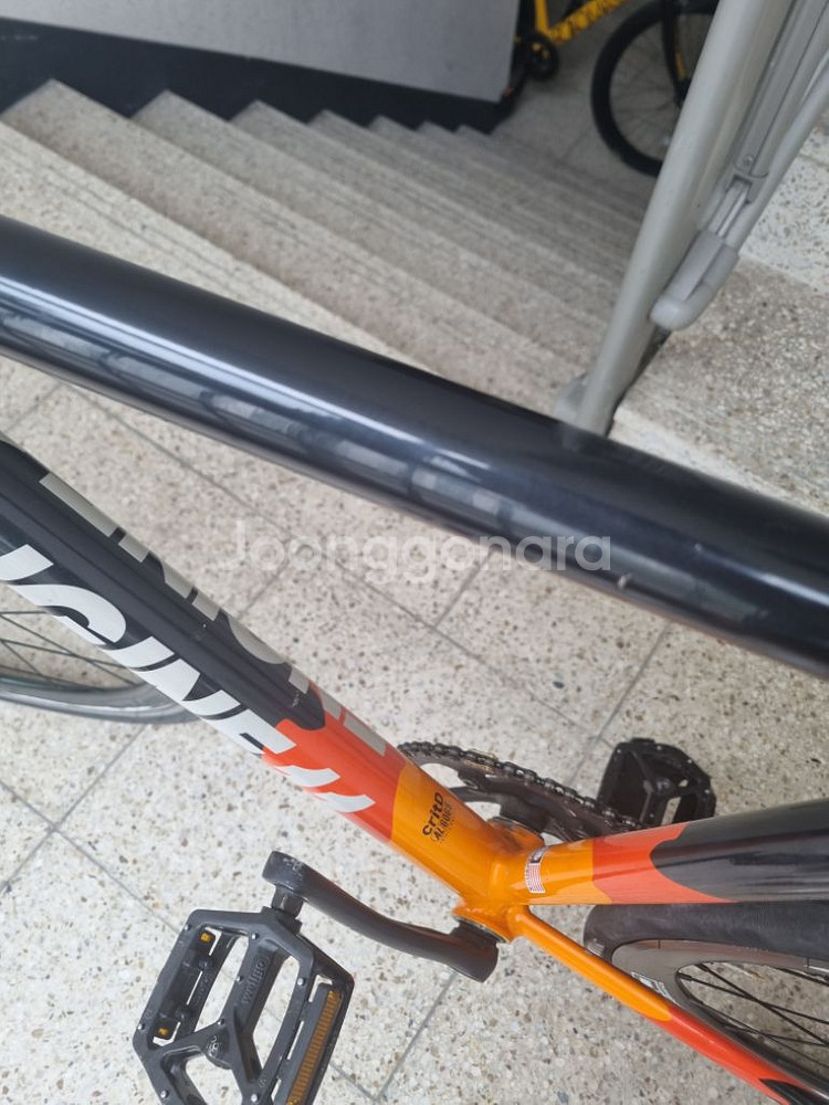 엔진11 크릿디 블라스트 오렌지 판매/대차--6