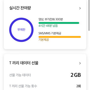 SKT 데이터 1GB