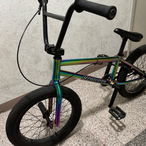 bmx급처