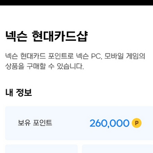 넥슨캐시 26만포