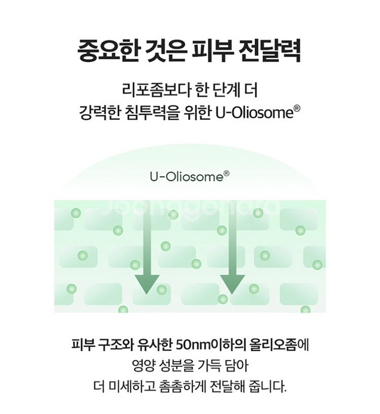 리더스 그린 콜라겐 아이크림 포 페이스 잔주름 넥크림--5