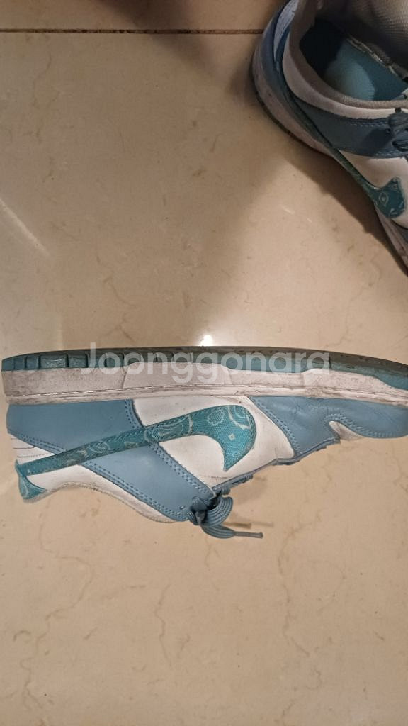 나이키 덩크로우 에센셜 페이즐리 DH4401-101--1