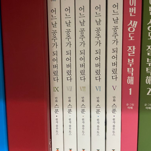 어느날 공주가 되어버렸다 어공주 웹툰 만화책