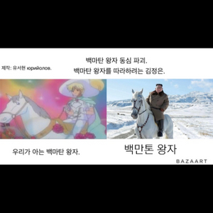 픽시 구합니다