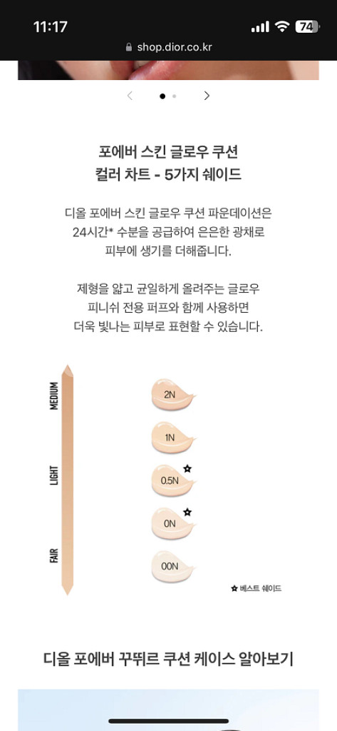 크리스챤디올 디올포에버 스킨글로우 쿠션--5