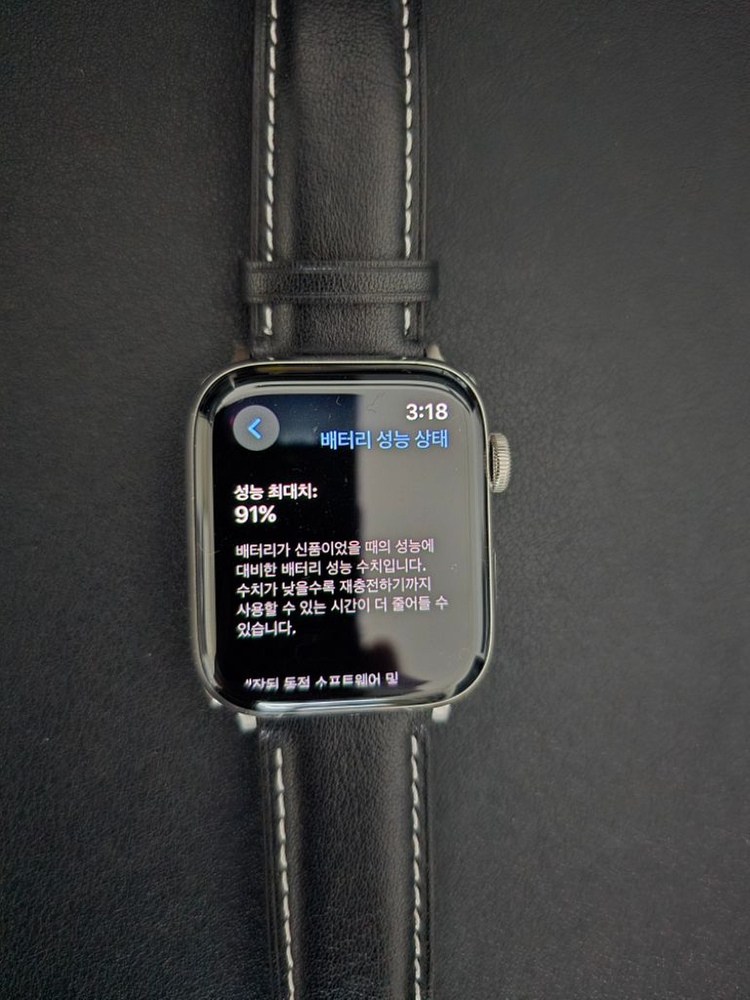 애플워치 6세대 스텐 44mm, 셀룰러(실버)--2