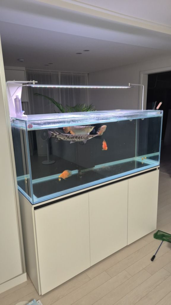 5자 살수식 섬프어항 이미지