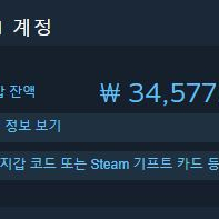 스팀 월렛 34000원 선물식으로 팝니다