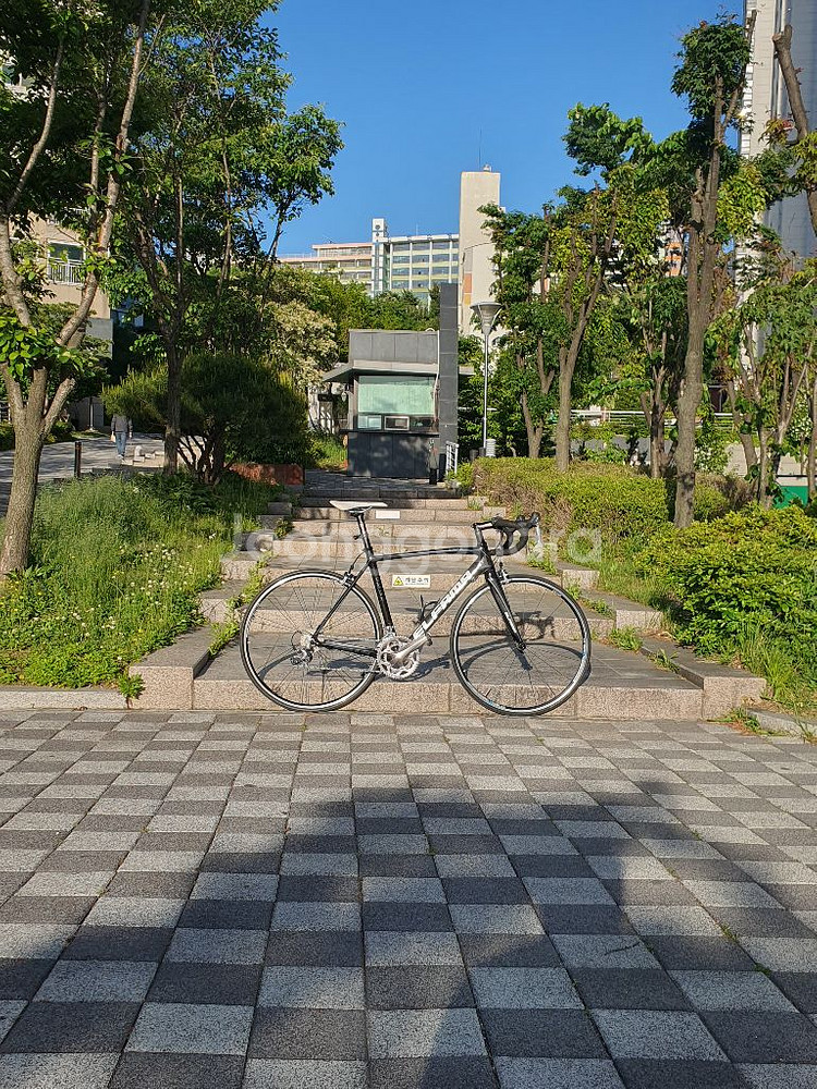 엘파마 풀카본 환타지아 105 울테급 로드 판매, 대차--0