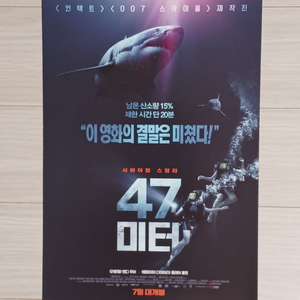 맨디무어 클레어홀트 47미터1(2017년)