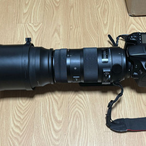 시그마 150-600mm sports (캐논 마운트)