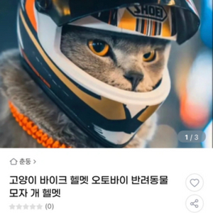 (새상품)고양이 강아지 헬멧 오토바이 자전거 커플