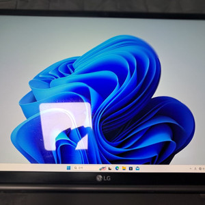 17인치 LG 그램 17ZD990-VX7BK