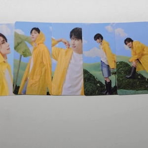 일괄)세븐틴 공식포카 11개 팔아요