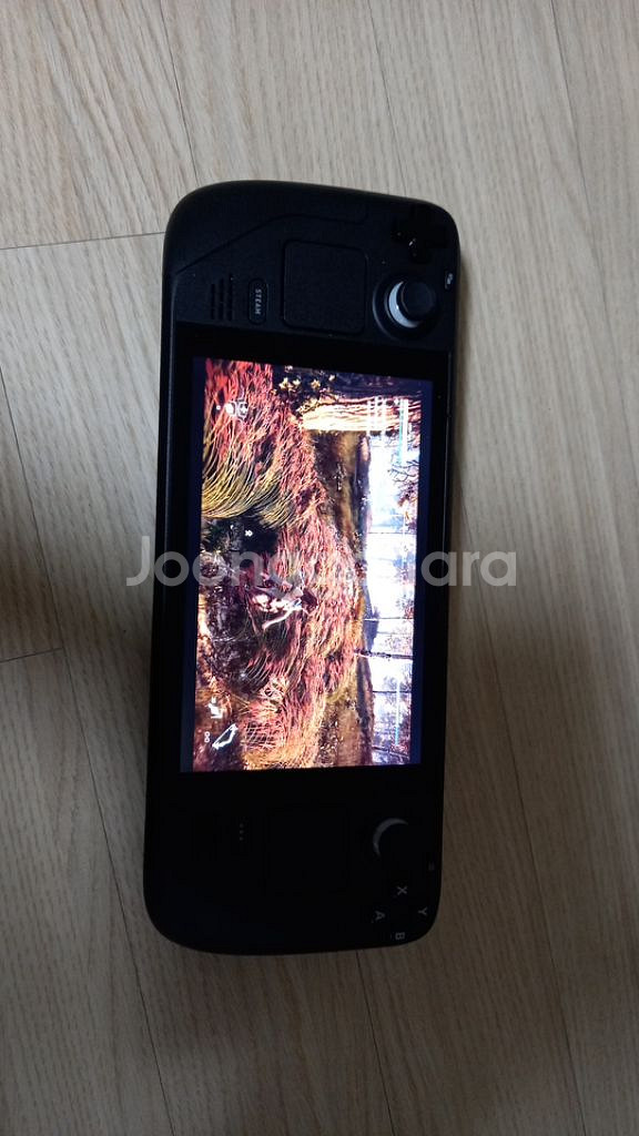 스팀덱 1T 코모도 정발 23년 6월--1