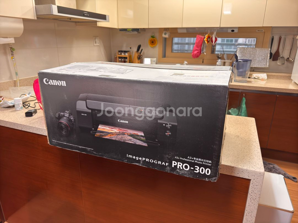 캐논 포토프로 300--0