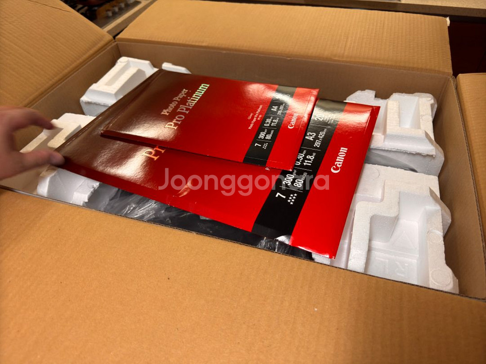 캐논 포토프로 300--1