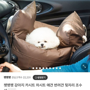 펫펫펫 강아지 차시트 카시트 애견 차량시트