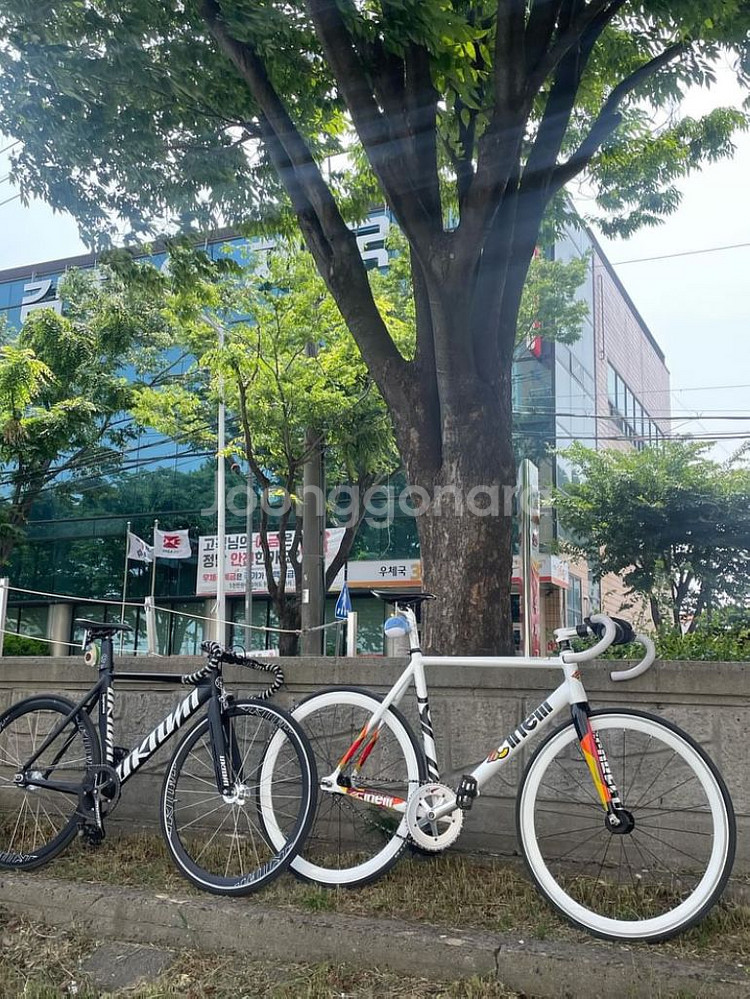 언노운 싱귤2 2024년식 판매/대차 합니다--1
