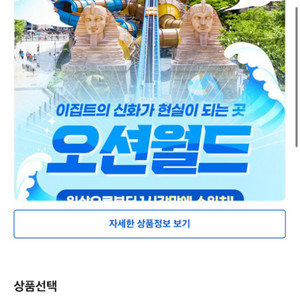 캐리비안베이 오션월드 등 워터파크 티켓 다량보유