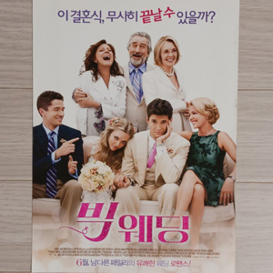 로버트드니로 아만다사이프리드 빅웨딩(2013년)