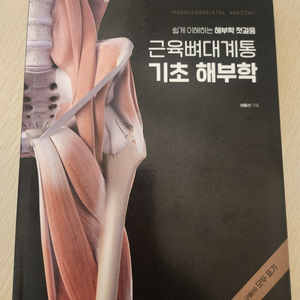 기초 해부학 (새 것 컨디션)