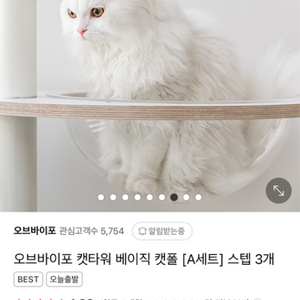 오브바이포 캣타워 투멍해먹