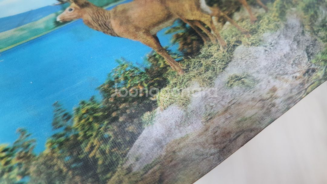 40살 넘은 골동3D엽서, 세상에 단 하나뿐인 엽서--2