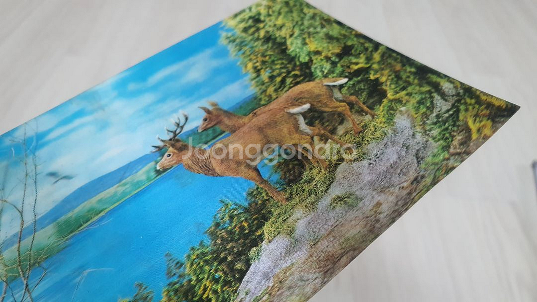 40살 넘은 골동3D엽서, 세상에 단 하나뿐인 엽서--3