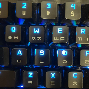 g pro x tkl 키보드 청축 구형