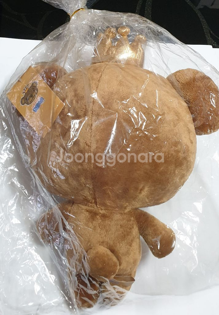 윙클베어 인형--1