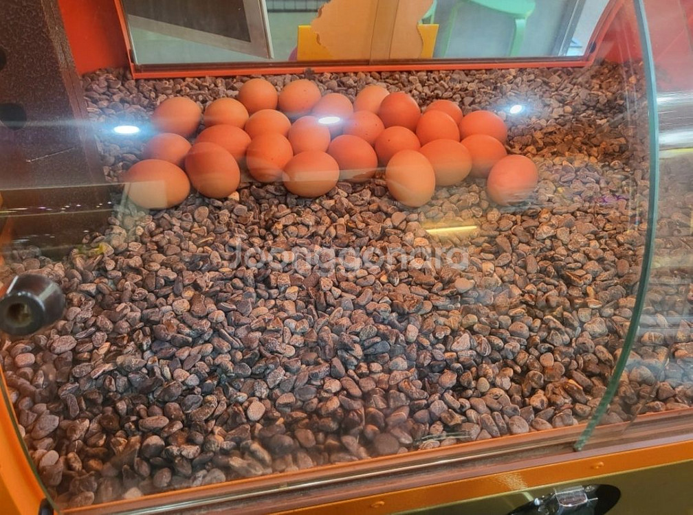 군고구마기계(5kg)--4