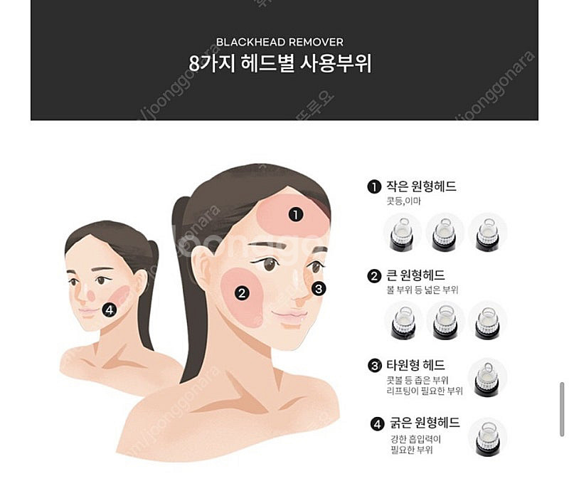 엘리뷰 피지제고기--4