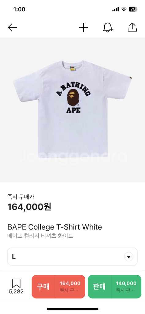 베이프 반팔--0