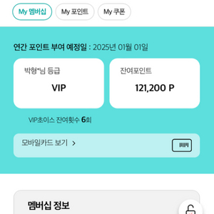 KT VVIP 멤버쉽포인트 12만점