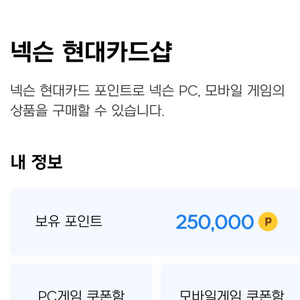 넥슨캐시 현대카드포인트 25만 (90% 판매)