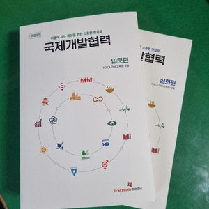 국제개발협력(개정판)