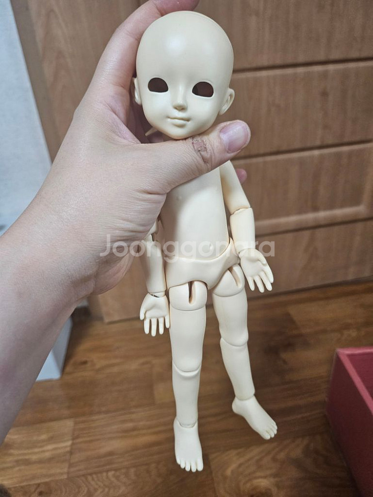 구) 커스텀하우스인형 앙쥬,비쥬--1