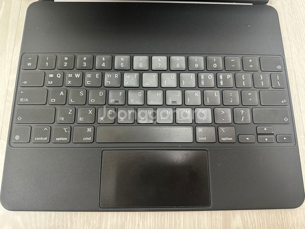 아이패드프로 4세대 12.9 256G셀룰러 세트--4