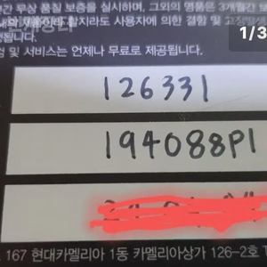 로렉스41미리 초코콤비 2020년 장물입니다