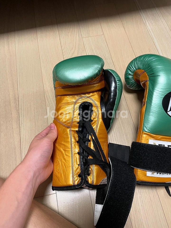 복싱 글러브 클레토 레예스 10oz wbc에디션--2